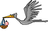 storkflying.gif